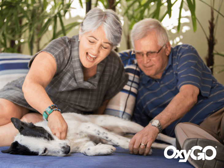 oxygo pets copd